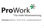 ProWork AG Logo